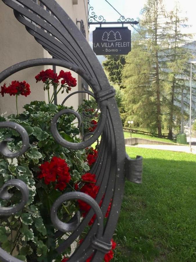 La Villa Feleit Бормио Екстериор снимка